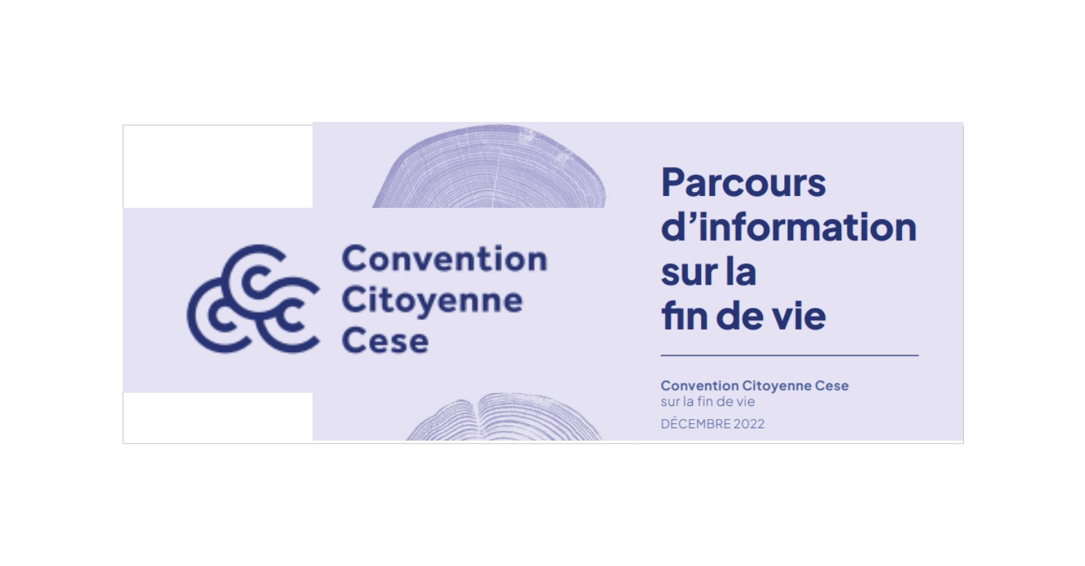 Parcours Dinformation Sur La Fin De Vie Convention Citoyenne Cese